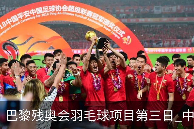 巴黎残奥会羽毛球项目第三日 中国队取得13胜3负